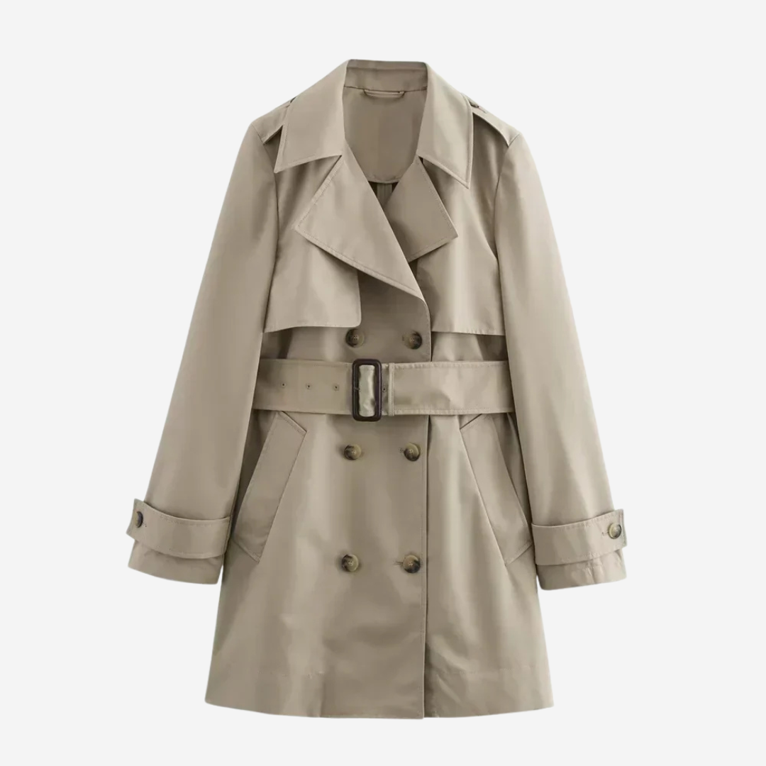 Descel | Charlotte